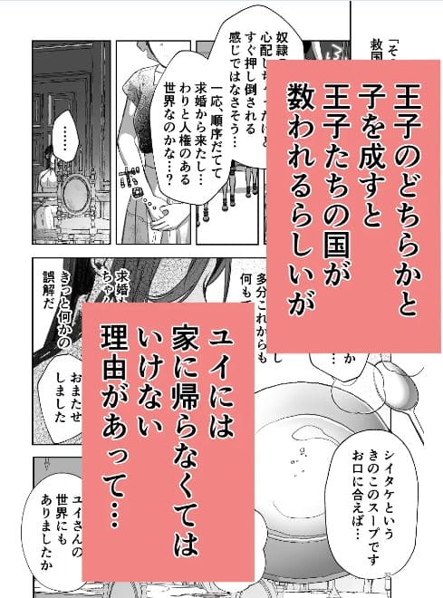 帰りたい救国の乙女と帰したくないふたりの王子前編 サンプル画像6